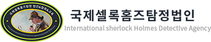 (주)인투정보